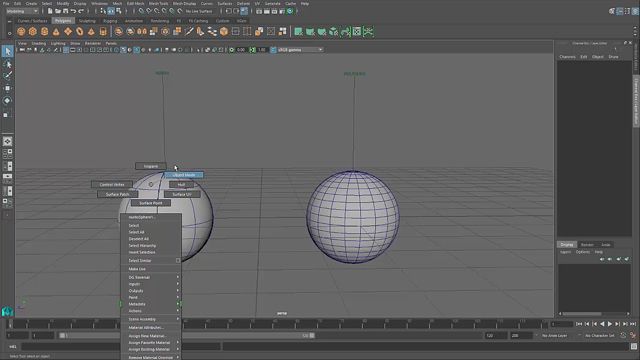 21. Diferencias entre Nurbs & Polygons.
